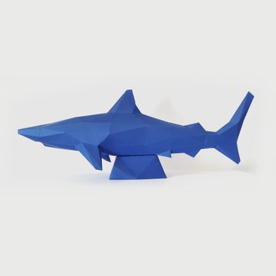 blue shark_2