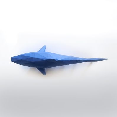 blue shark_3